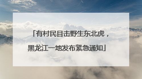 有村民目击野生东北虎，黑龙江一地发布紧急通知