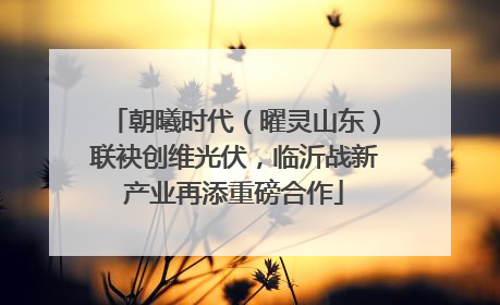 朝曦时代（曜灵山东）联袂创维光伏，临沂战新产业再添重磅合作