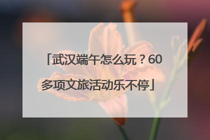 武汉端午怎么玩？60多项文旅活动乐不停