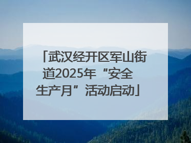 武汉经开区军山街道2025年“安全生产月”活动启动