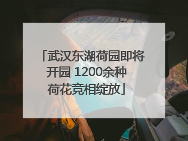 武汉东湖荷园即将开园 1200余种荷花竞相绽放