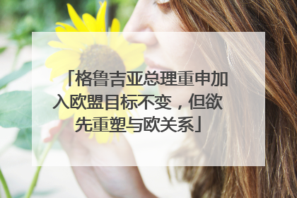 格鲁吉亚总理重申加入欧盟目标不变，但欲先重塑与欧关系