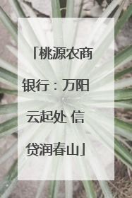 桃源农商银行：万阳云起处 信贷润春山
