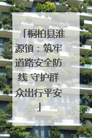 桐柏县淮源镇：筑牢道路安全防线 守护群众出行平安