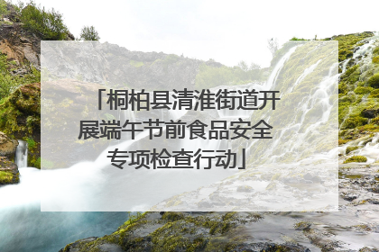 桐柏县清淮街道开展端午节前食品安全专项检查行动