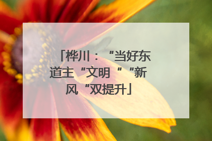 桦川：“当好东道主“文明““新风“双提升