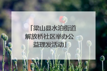 梁山县水泊街道解放桥社区举办公益理发活动