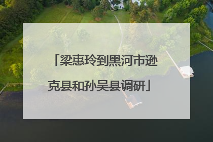 梁惠玲到黑河市逊克县和孙吴县调研