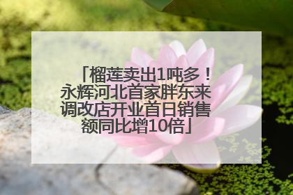 榴莲卖出1吨多！永辉河北首家胖东来调改店开业首日销售额同比增10倍
