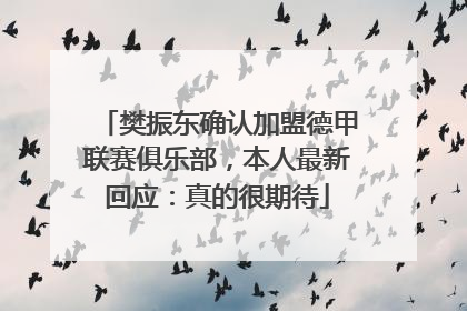 樊振东确认加盟德甲联赛俱乐部，本人最新回应：真的很期待
