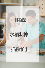 横峰：水稻制种插秧忙
