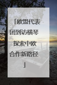欧盟代表团到访横琴 探索中欧合作新路径