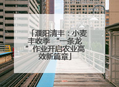 濮阳清丰：小麦丰收季 “一条龙”作业开启农业高效新篇章