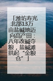 潍坊寿光北部13万亩盐碱地迈向高产田：八年改碱夺粮，盐碱滩拱起“金粮仓”