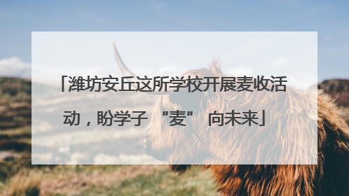 潍坊安丘这所学校开展麦收活动，盼学子 “麦” 向未来