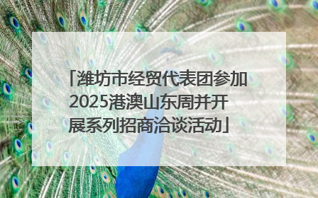 潍坊市经贸代表团参加2025港澳山东周并开展系列招商洽谈活动
