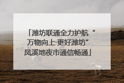 潍坊联通全力护航“万物向上·更好潍坊”凤溪地夜市通信畅通