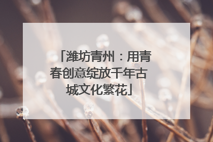 潍坊青州：用青春创意绽放千年古城文化繁花