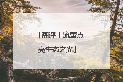 潮评丨流萤点亮生态之光