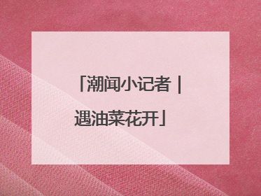 潮闻小记者｜遇油菜花开
