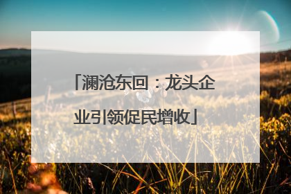 澜沧东回：龙头企业引领促民增收