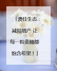 澳佳生态：减损增产 让每一粒麦穗都饱含希望！