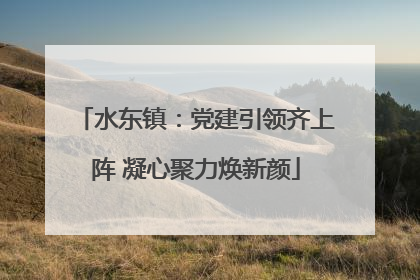 水东镇：党建引领齐上阵 凝心聚力焕新颜