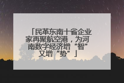 民革东南十省企业家再聚航空港，为河南数字经济增“智”又增“势”