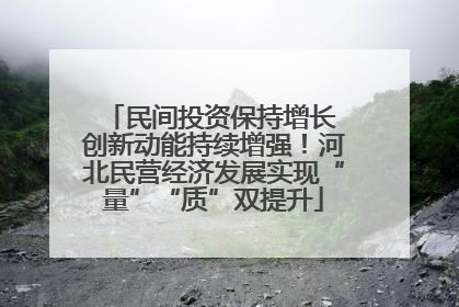 民间投资保持增长 创新动能持续增强！河北民营经济发展实现“量”“质”双提升