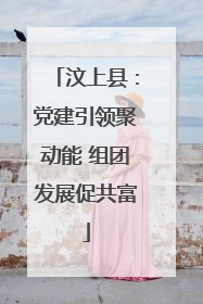 汶上县：党建引领聚动能 组团发展促共富