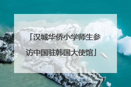 汉城华侨小学师生参访中国驻韩国大使馆