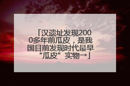 汉遗址发现2000多年前瓜皮，是我国目前发现时代最早“瓜皮”实物→