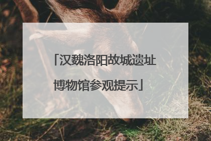 汉魏洛阳故城遗址博物馆参观提示