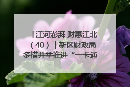 江河澎湃 财惠江北（40）｜新区财政局多措并举推进“一卡通”管理 保障惠民惠农补贴精准高效发放