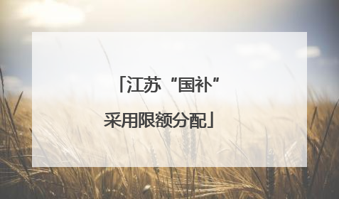 江苏“国补”采用限额分配