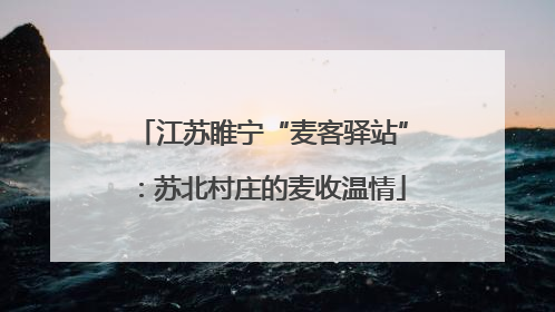 江苏睢宁“麦客驿站”：苏北村庄的麦收温情