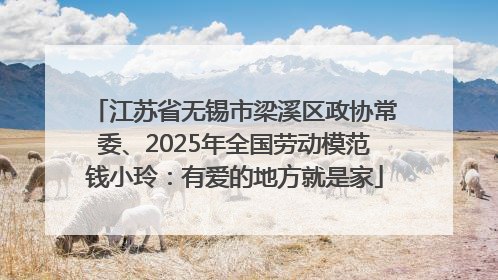 江苏省无锡市梁溪区政协常委、2025年全国劳动模范钱小玲：有爱的地方就是家