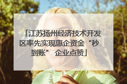 江苏扬州经济技术开发区率先实现惠企资金“秒到账” 企业点赞