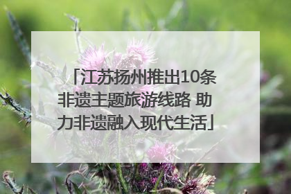 江苏扬州推出10条非遗主题旅游线路 助力非遗融入现代生活