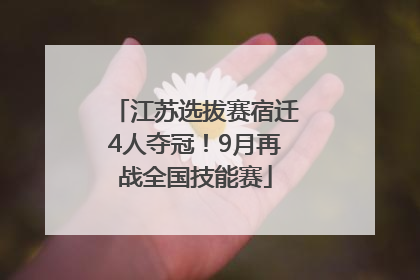 江苏选拔赛宿迁4人夺冠！9月再战全国技能赛
