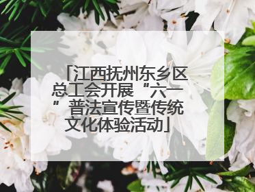 江西抚州东乡区总工会开展“六一”普法宣传暨传统文化体验活动