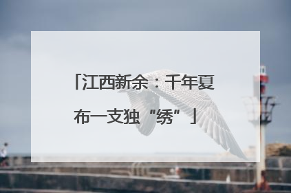 江西新余：千年夏布一支独“绣”