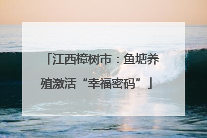 江西樟树市：鱼塘养殖激活“幸福密码”