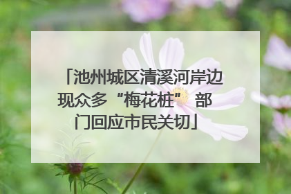 池州城区清溪河岸边现众多“梅花桩” 部门回应市民关切