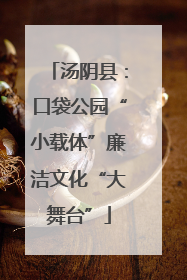 汤阴县：口袋公园“小载体”廉洁文化“大舞台”
