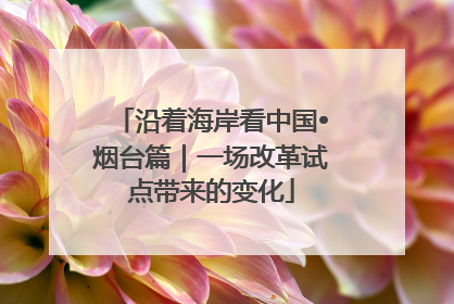 沿着海岸看中国•烟台篇｜一场改革试点带来的变化