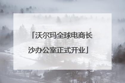 沃尔玛全球电商长沙办公室正式开业
