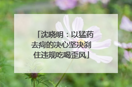 沈晓明：以猛药去疴的决心坚决刹住违规吃喝歪风