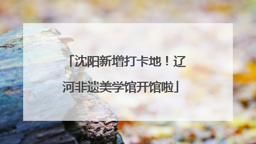 沈阳新增打卡地！辽河非遗美学馆开馆啦