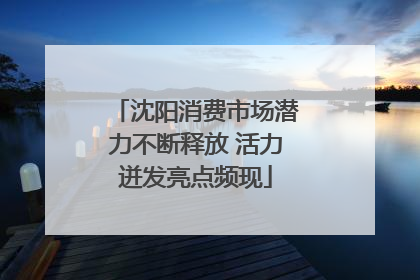 沈阳消费市场潜力不断释放 活力迸发亮点频现